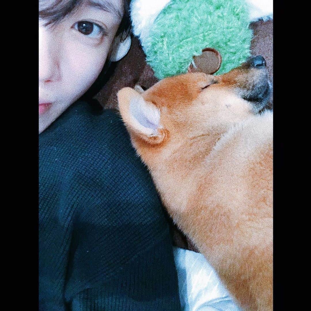 美山加恋のインスタグラム：「横で寝てくれるようになった。 おやすみ。🥰」