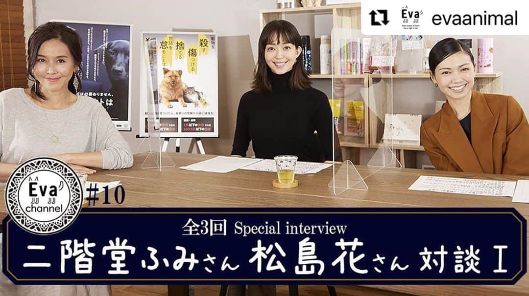 杉本彩さんのインスタグラム写真 - (杉本彩Instagram)「#Repost @evaanimal with @make_repost ・・・ 第10回Evaチャンネル更新しました！  今回のEvaチャンネルは、女優の二階堂ふみさん @fumi_nikaido とモデルの松島花さん @hana_matsushima_animal にお越しいただき、スペシャルインタビューをお届けします❗️  活動のきっかけやご自身が一緒に暮らすわんちゃんの話し、  そして数値規制についてお話しいただきました。  実際の数値のこと、そしてそれが決まるまでの難しさなど、  率直な気持ちを語っていただいています。  スペシャルインタビューは3回に渡りお届けしていきます。  貴重な対談をぜひご覧ください！  ⭐️youtube はEvaプロフィールからリンクしています⭐️ https://youtu.be/U3WlnuUWBZ0  #二階堂ふみ さん #松島花 さん #数値規制 #改正動物愛護法 #環境省 #動物環境福祉協会eva #杉本彩」10月8日 0時33分 - sugimoto_aya0719