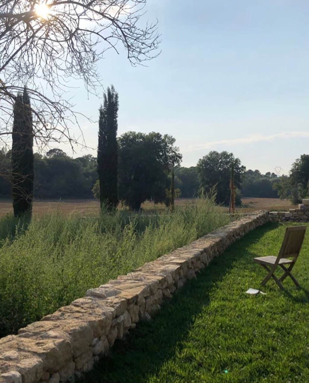 ハイディメリックのインスタグラム：「I got cypress for my birthday just need to plant them now.」