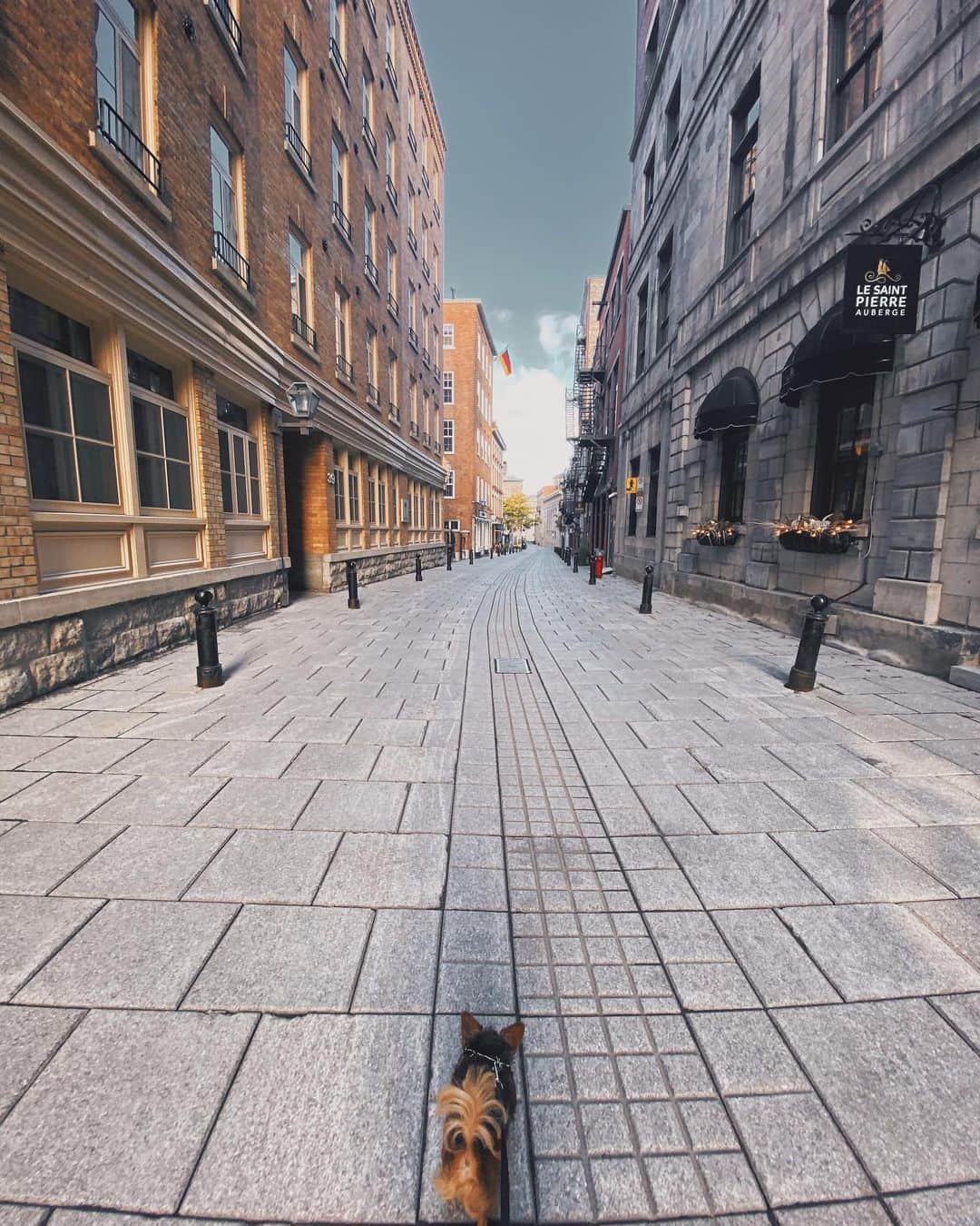 Kalyn Nicholsonさんのインスタグラム写真 - (Kalyn NicholsonInstagram)「Just last week I drove back across Canada in the midst of changing leaves and made a quiet Quebec City pit stop to break up the trip.  With two @airbnb tours and a couple creepy occurrences, I’ve officially landed in Ottawa🍁   watch the whole journey + me facing a thousand legged creature in youtober day 7 🕸」10月8日 3時02分 - kalynnicholson13