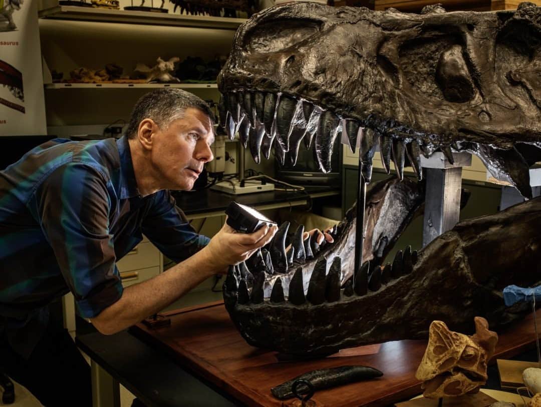 ナショナルジオグラフィックさんのインスタグラム写真 - (ナショナルジオグラフィックInstagram)「Photo by @paoloverzone / Surrounded by skulls in his Ohio University lab, anatomist Larry Witmer examines a cast of a Tyrannosaurus rex. In the past, he says, "paleontology has had the reputation as having a fair amount hand waving." But thanks to new methods, "we're able to say a lot more now, [and] test hypotheses we never would even pose before." Follow @paoloverzone for more photos and stories.   Check out Nat Geo's link in bio for more on this story.」10月8日 3時37分 - natgeo
