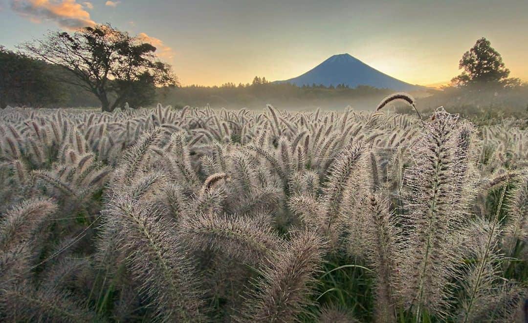 phantastic420のインスタグラム：「. 🤩🤩“Shizuoka” prefecture in Japan is a place where you can see the most “phantastic” Mt. Fuji🗻 in the world.🤩 #富士山 #mtfuji #japan #shizuoka #fujinomiya  #宮すた #miyasta @fujinomiyacity  #phantastic420photography #mostphantasticmtfuji #selamatpagi  #goodmorning  #おはようございます  #สวัสดี #สวัสดีครับ 🇹🇭😇😇😇😇😇😇😇🗻😇😇😇😇 🇹🇭Thailand now 🤣 #サワディーカップ #サワディー」