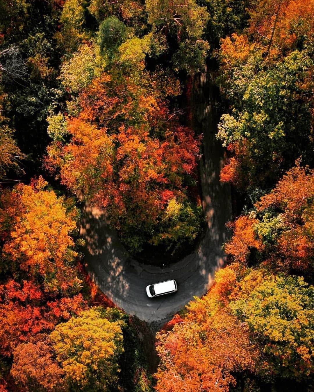 FOLKのインスタグラム：「Can anyone else just feel the windows down? Today’s favorites: 1.) @dan_rezabek 2.) @mat_chec 3.) @jude_allen 4.) @zackkcore 5.) @downtofowler 6.) @ryanresatka 7.) @archiefrink」