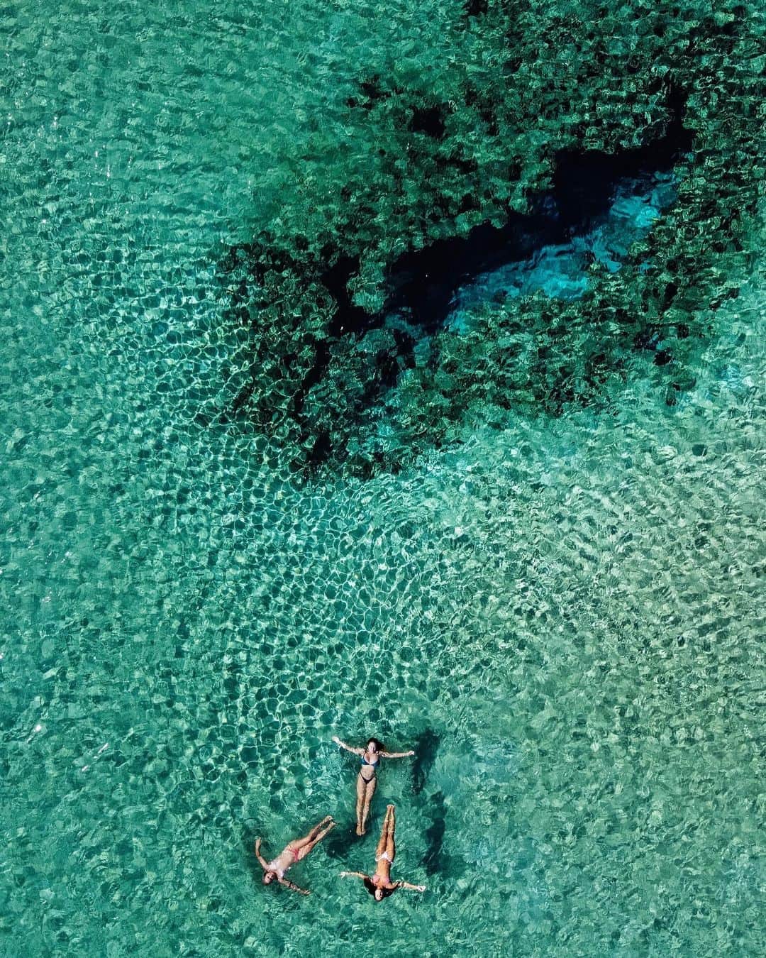 フェリシティー・パルマティアーのインスタグラム：「The ocean - the one place where everything feels right @kaylabutcherr」