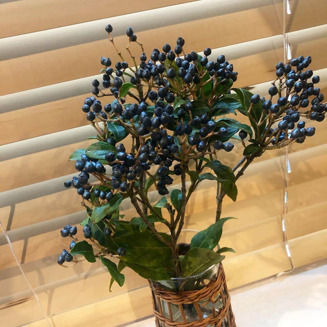 のインスタグラム：「・ ブラックパールと言われるほど美しい。  そうだったらいいのにな。。🙄」