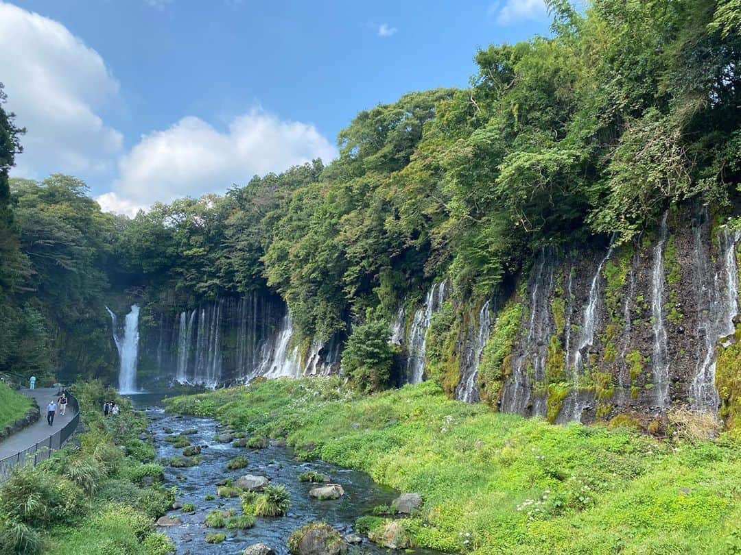 マーティンさんのインスタグラム写真 - (マーティンInstagram)「. うまいもんジャーニー再開1発目、静岡県の旅はいかがでしたでしょうか！  白糸の滝に感動したので共有！ TikTokにも載せておきます！  そして明日からは新潟県のうまいもんを紹介します！！！  んーーー、YESマーティン！！！  #ZIP! #うまいもんジャーニー #静岡県 #白糸の滝 #新潟県 #yesマーティン #いただきマーティン」10月8日 18時37分 - martin.world