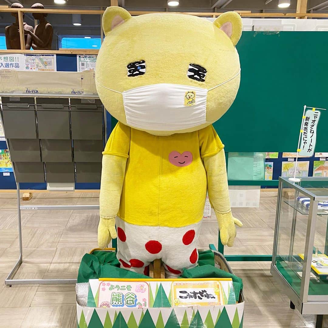 のインスタグラム：「今日の夜8時から地元の#FMクマガヤ でしゃべりますー！ メールテーマは「#紅葉がキレイなお城と言えば ？」🍁 ・ otayori@fmkumagaya.com ↑お気軽にお送りくださいませ〜🏯  ■10/8(木)20時 『#れきしクンの野望 』 ※熊谷行田の方は87.6MHz、それ以外の方はFM ++から！ ・ 写真は市役所の#ニャオざね の剥製😺 #熊谷市」