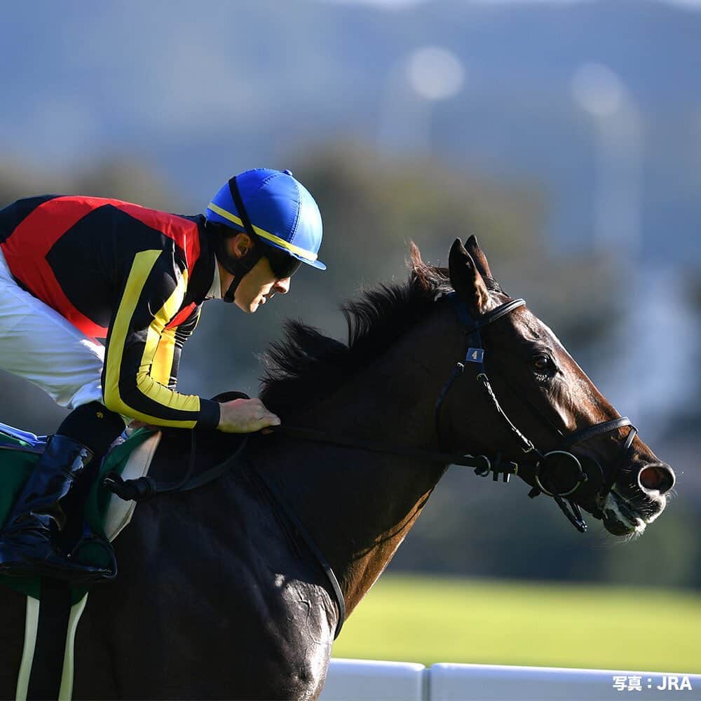 のインスタグラム：「今週の土曜日は、サウジアラビアロイヤルカップ(GIII)  #2018年の優勝馬は #グランアレグリア #翌年の #桜花賞 #今年の #安田記念 と #スプリンターズステークス を #優勝したよ #今年もスターホースの誕生となるかな #うまび #サウジアラビアロイヤルカップ」