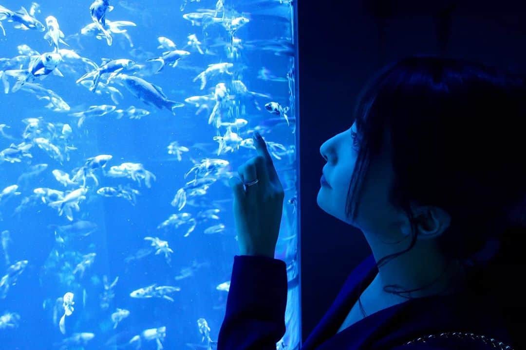 岡田栞奈のインスタグラム：「照明が変わるたび同じ空間なのに どんどん観てる世界が 変わっていく、、、、  水の世界が大好き☺️ 皆さんは何色の世界が好きですか？  #アートアクアリウム #日本橋 #観光スポット #金魚 #美術館 #巨大水槽 #デート」