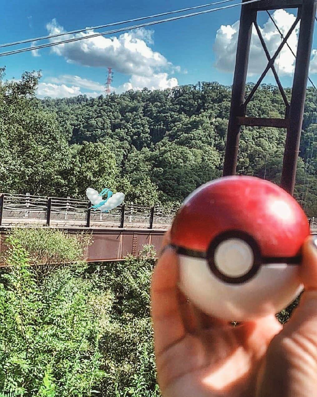 チアコマのインスタグラム：「. . チルタリスや！と思ったら向こうに飛んでいった図🧚‍♀️💁‍♂️ （チル飛ぶの下すぎるやろ） . . #低空飛行のチルタリス #チルタリス #altaria #tyltalis #ポケモン #ポケモンgo #pokemon #pokemongo #pokemoninjapan #pokemongojapan #japan #osaka」