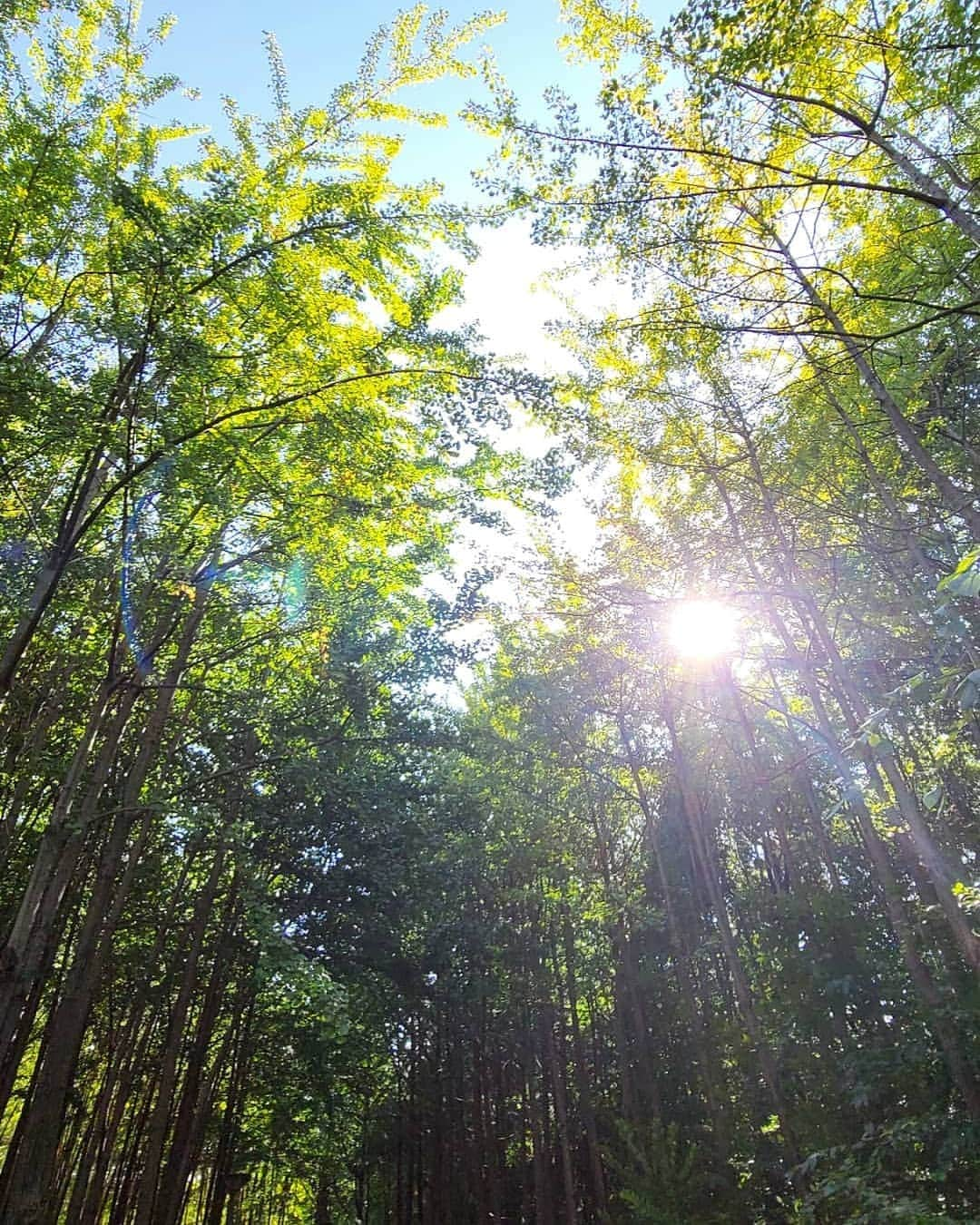 コン・ヒョンジュさんのインスタグラム写真 - (コン・ヒョンジュInstagram)「#서울숲 🌿」10月8日 17時41分 - konghyunjoo