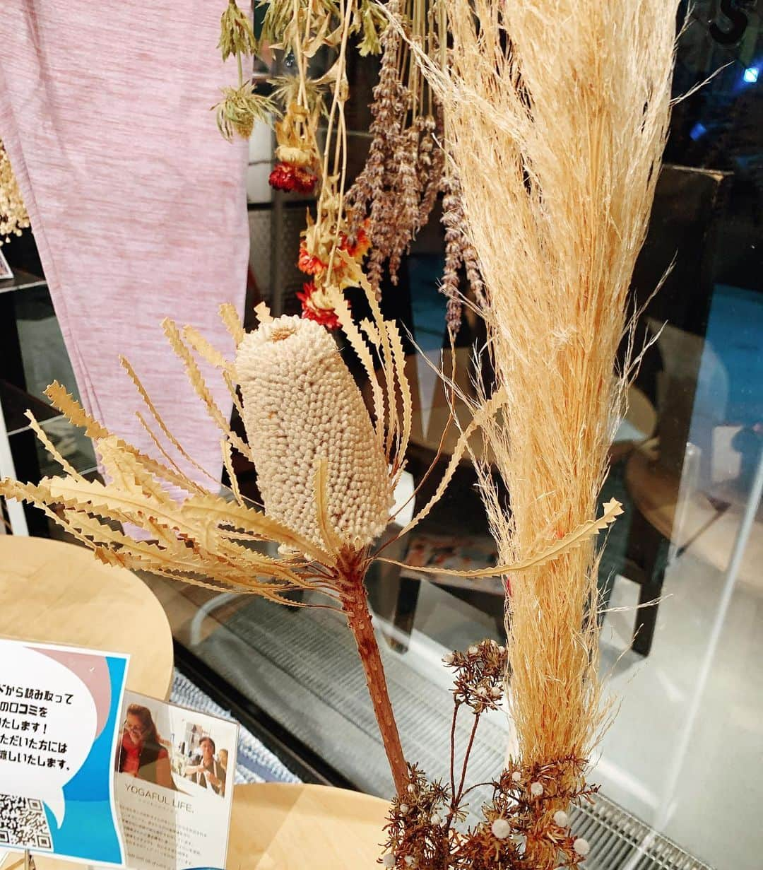 鈴木ゆまさんのインスタグラム写真 - (鈴木ゆまInstagram)「秋の瞑想🌾🍂🌕 常に心と体は高めておこう💕 どちらもバランスは背骨から🦴  Photo by @goshistagram   #ハンモックヨガ #antigravityfitness #yoga #空中ヨガ #navi自由が丘」10月8日 18時10分 - yumayuma728