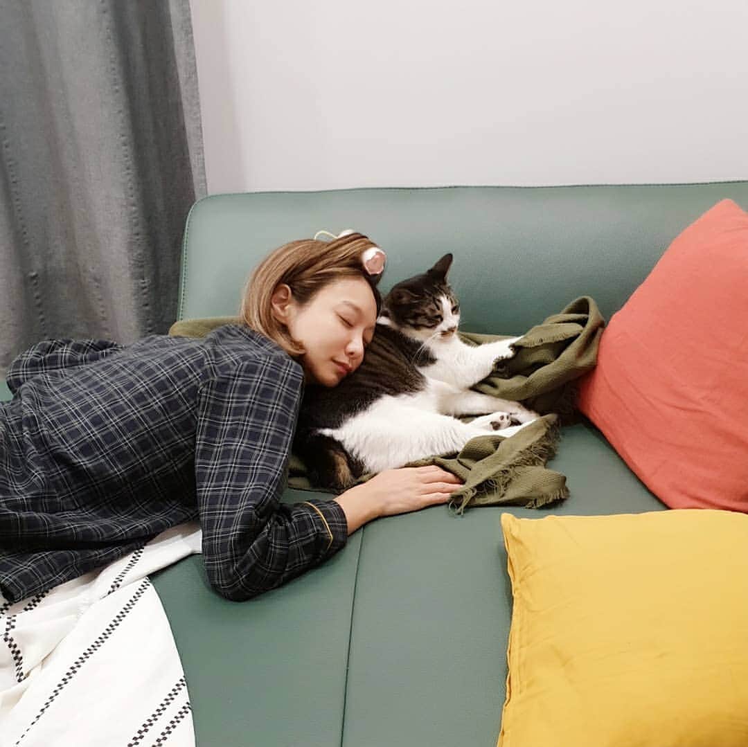 のインスタグラム：「고양이🐾최고」