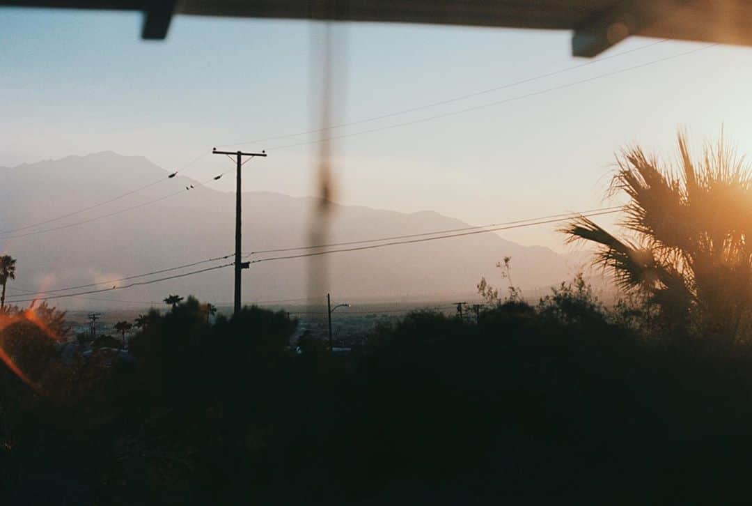 ル・ユースのインスタグラム：「Such a vibe in Palm Springs #35mm」