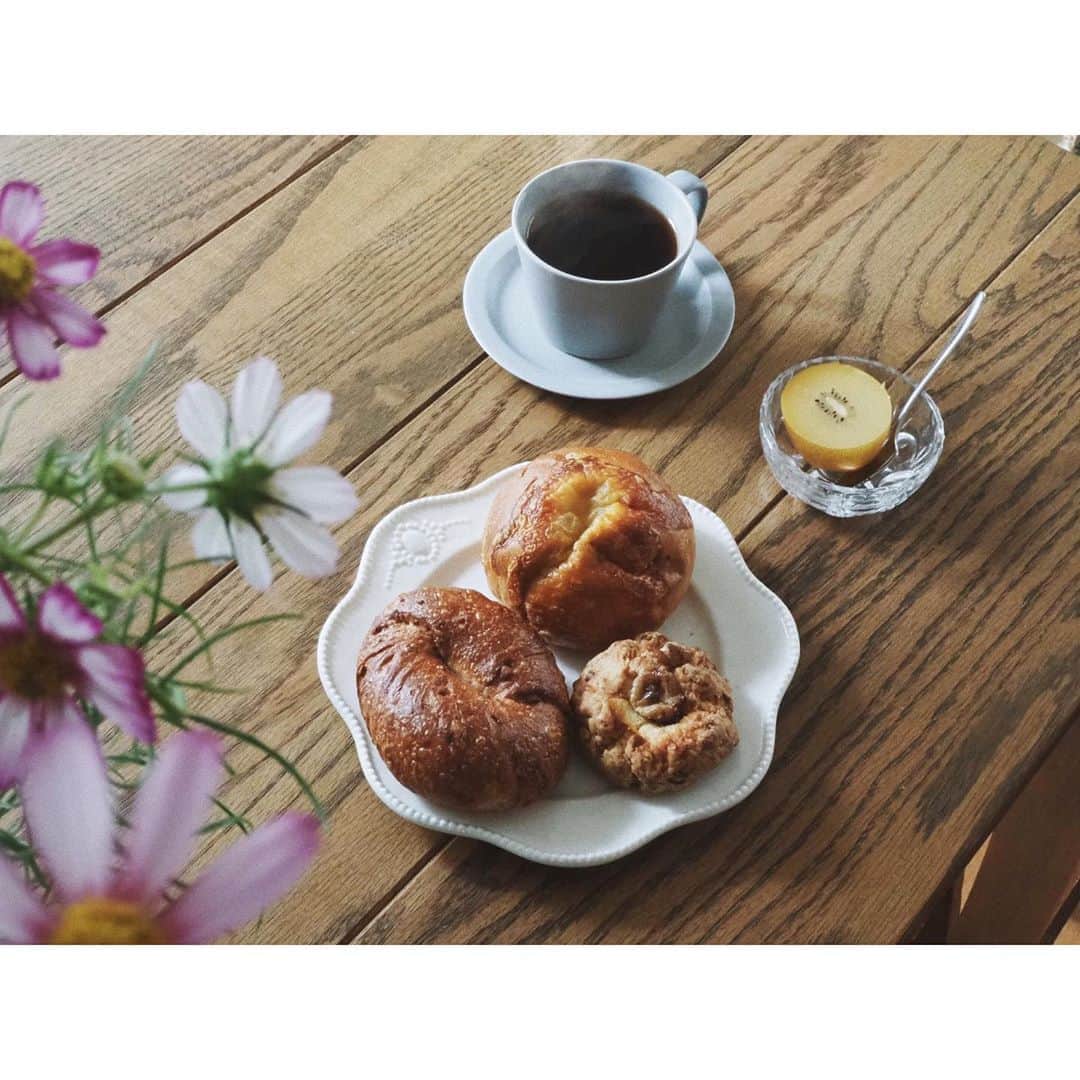猪鼻ちひろのインスタグラム：「🍞☕️ さぁ今日は！ 新しいお仕事の打ち合わせ。ずっと画面越しに打ち合わせを重ねてきたのだけれど、実際に生地を見たりデザインを固めたりするのが、とても楽しみ。ドキドキとわくわく。早くお知らせしたい！  早起きして(最近、長時間睡眠から卒業しちゃった🤣) 淹れたてのコーヒー飲んで、熱めのお風呂に入って。。 @tecona_bagel_works のスコーンが美味しすぎた幸せな朝。 コーヒーは @haganorganiccoffee のもの。 喉もすっかり良くなったし、気合い注入💪🏻 一気に寒くなってきたので 皆様もあったかくして手洗いうがい強化してね☺️ #ちひろのごはん #ちひろkitchen #コスモス #癒し #パンとコーヒー #代々木八幡 #テコナベーグルワークス #スコーン」