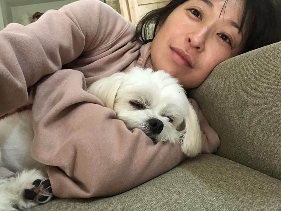 のインスタグラム：「おはようございます^ ^ 今季初ヒーター🧦♨️ 11月下旬並みの寒さですって😲 突然冬がやってきました⛄️ 風邪をひかぬよう、お気をつけて🧣 あたたかく過ごしてくださいね☺️ そして台風も！気をつけましょうね☔️🍃(>_<) #チワワ#ハナちゃん #チワマル#ハルくん #ぬくぬく#いぬすたぐらむ #いぬばか部 #chihuahua #maltese #mixdog#doglover #dogstagram #犬のいる暮らし #寝ぼけまなこ#寝起きごろごろ 今日も良い一日を🍇^ ^」