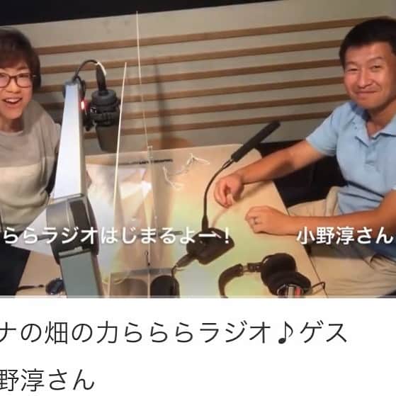 小谷あゆみのインスタグラム：「10/8（木）午前11時から〜 ＃ベジアナの畑の力らららラジオ♪ ゲストは都市の農を切り口に街の課題を楽しくおもしろく解決する元テレビディレクター！ ＃NPOくにたち農園の会　理事長＠小野淳さん第２弾！ なんと野菜やお米や子育て支援から～お蚕さんをみんなで育てるプロジェクトまで農ライフの広がり！どんだけぇぇ～～～！ベジアナもクリビツテンギョーの農ライフ農トーク♡ まもなく１１時から　#エフエム世田谷 83.4MHZ 全国どこでもスマホやPCでも聴けるよ📷 https://fmsetagaya.com/ #ja世田谷目黒  #せたがや体験農園  #都市農業 #ベジアナ」