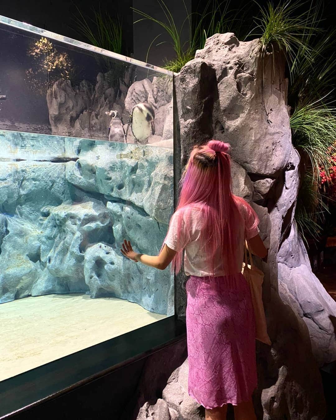 小林レイミさんのインスタグラム写真 - (小林レイミInstagram)「新しく出来た水族館めっちゃ楽しかった🐠💕美ら海行った事ないけど  #okinawa #aquarium #jellyfish #travelersnotebook #travelpost #tripjapan #vintagefashion #90sfashion #カワウソ界のスターいた」10月8日 11時12分 - _reimi._____