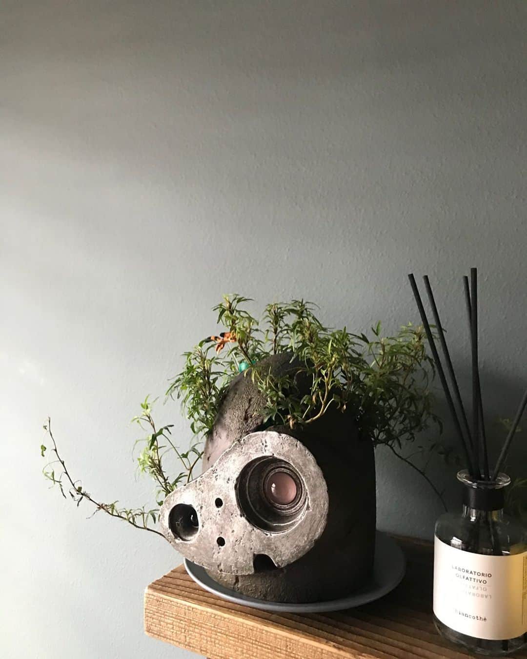アヤメのインスタグラム：「Gloomy sky in Tokyo, but love the colour of my wall @farrowandball ☁️ 天気によって違う色に見える壁、今日はだいぶグレイッシュ #farrowandball #inspiration #天然顔料 #曇り空 #ロボット兵プランター #homedesign」