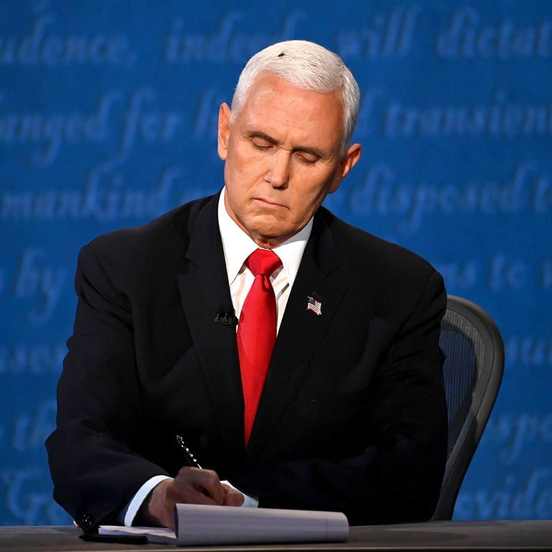 NBC Newsさんのインスタグラム写真 - (NBC NewsInstagram)「A fly lands on VP Pence's head during the #VPDebate in Salt Lake City.⁠ ⁠ Tap the link in our bio for the latest.⁠ ⁠ 📸 Eric Baradat / @afpphoto」10月8日 12時16分 - nbcnews