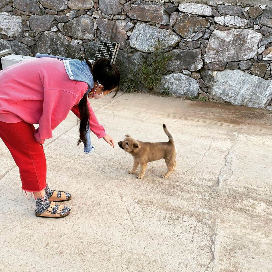 コン・ヒョジンさんのインスタグラム写真 - (コン・ヒョジンInstagram)10月8日 12時20分 - rovvxhyo