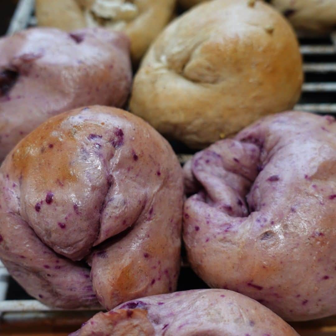 魔女菅原のグルメインスタ