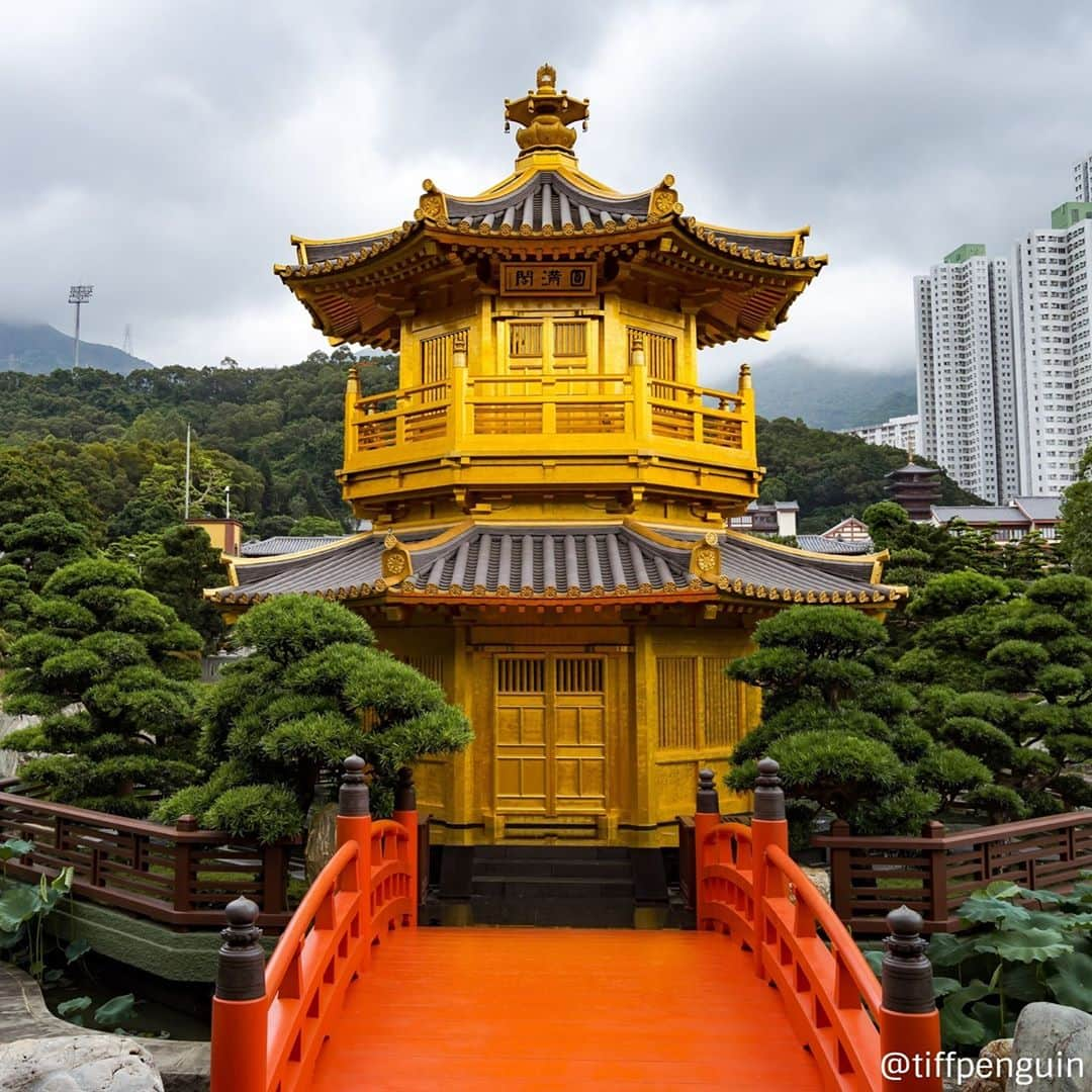 Discover Hong Kongさんのインスタグラム写真 - (Discover Hong KongInstagram)「With its classical style and striking gold colour, the Pavilion of Absolute Perfection is the centrepiece of Nan Lian Garden.  南蓮園池有色彩鮮明嘅中式亭閣，喺園景襯托下寧舍搶眼！  #DiscoverHongKong」10月8日 13時00分 - discoverhongkong