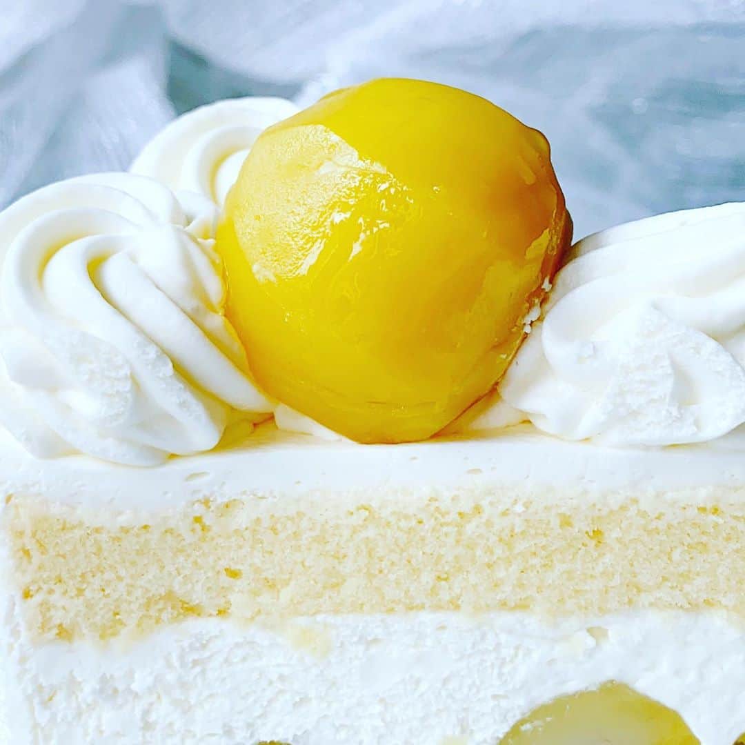 里井真由美さんのインスタグラム写真 - (里井真由美Instagram)「#cakes #shortcake #japan 和栗のショートケーキでございます〜 ・ ・ ゴロゴロどすんっ✨🌰😆 迫力ある表情ですが、和みを感じます。たぶん、甘露煮の黄色と熊本産利平栗そのものの黄色からかしらん✨  生クリームもスポンジも ふわっふわ〜 入刀すると なめらか〜にすすみ、  でーもー‼️でもでも、 最後にゴロゴロゴロゴロッと、 和栗の手ごたえ〜💪💪💪  さすが 銀座千疋屋さん、 栗の入れっぷりがよいショートケーキでございます✨😌🌰✨✨✨💓  ショートケーキは 和栗がある期間のみ。他の和栗モンブランやパフェも10/15までと 比較的短期なので、お見逃しなく♡  @ginzasembikiya1894   #モンブランの世界#栗#和栗#栗スイーツ#モンブラン#里井真由美#衣替えモンブラン#japan#アフタヌーンティー#零食#さといいね#스위트#ありが糖運動#まゆログ#甜食#着物#フードジャーナリスト里井真由美#断面モンブラン#kimono#kimonostyle」10月8日 13時14分 - mayumi.satoi