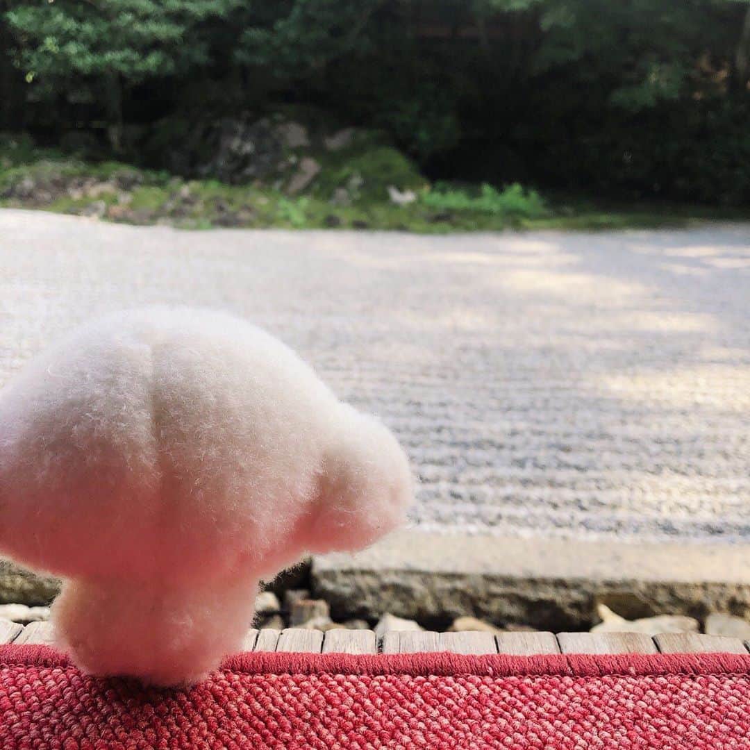 こぎみゅん（サンリオ）のインスタグラム：「落ち込んだり、 モヤモヤしたときは 立ち止まって、 1人で考える時間も必要なんだみゅん･･  きっとイイことあるみゅん･･☆  #サンリオ #キャラクター #小麦粉の妖精 #こぎみゅん #sanrio #character #cogimyun」