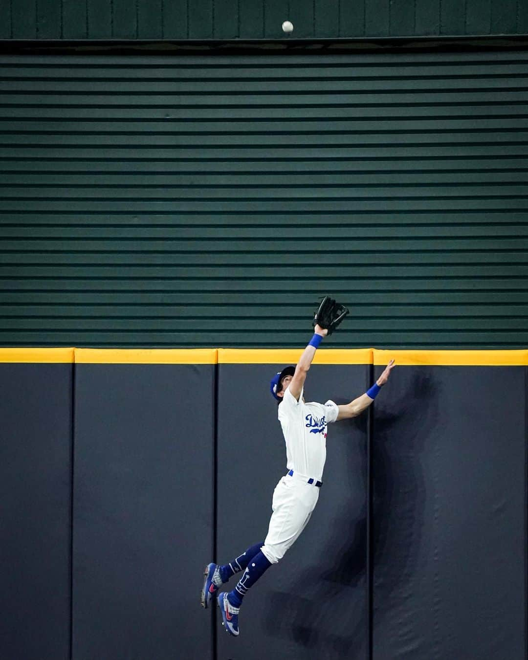 クレイ・ベリンジャーさんのインスタグラム写真 - (クレイ・ベリンジャーInstagram)「Unreal @dodgers win!! LETS GO」10月8日 14時09分 - cody_bellinger