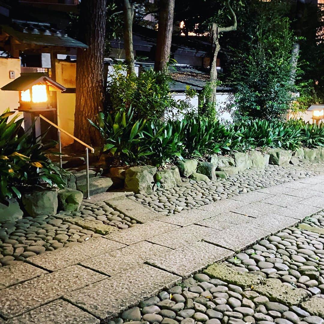 Taku Takahashiさんのインスタグラム写真 - (Taku TakahashiInstagram)「フラッと歩いてたら見つけた神社。  特に夜のぼんぼり、ちょうちん？なんて呼ぶんだっけ？それがとても綺麗で、緑もたくさんあって、すごく気持ちがスーッとリラックスできる。お月様も見えて心が和む。  神社って道の真ん中を歩いちゃいけないって風習があるんだけど、僕は左のデコボコの石畳を歩くのが好き。なんのために作ったのかわからないけど、ちゃんと階段もあってそこからも登れる。私的にはグッドデザイン大賞をお渡ししたい。  歴史上いちばん尊敬するのは勝海舟。彼は江戸無血開城の立役者で。日本最初の海軍を設立。差別社会のなか、侍の階級なのにも関わらず、使える人材はどんな位の人でも採用していったり坂本龍馬の師匠だったり。すごくオープンマインドな人。  彼は『氷川神社』へよく散歩をしていたらしい。緑が多くてとてもピースフル。僕も何度かお参りへ行ったこともある。  そんな彼に憧れている私としては、いつかマイフェイバリット神社が欲しいなって思ってたら、見つけちゃった。ちょっぴりラッキー。」10月8日 14時25分 - takudj