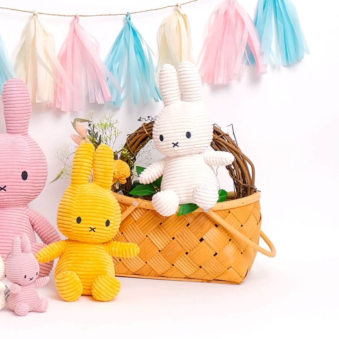 ワンズテラスさんのインスタグラム写真 - (ワンズテラスInstagram)「今年はミッフィー誕生65周年！ オランダBON TON TOYSのぬいぐるみは、大人も欲しくなるかわいさ♪  詳しくはプロフィールのリンクよりブランドサイトのショップニュースをご覧ください @onesterrace ＊一部完売している店舗もございます。ご了承ください。  #miffy #ミッフィー #ブルーナ #dickbruna #ミッフィー大好き #ミッフィーアイテム #ミッフィー雑貨 #ミッフィーグッズ #miffylover #ミッフィーちゃん #nijntje #ナインチェ #bontontoys #サステイナブル #ウサギ #米菲兔 #미피 #ギフト #雑貨 #onesterrace #ワンズテラス」10月8日 15時14分 - onesterrace