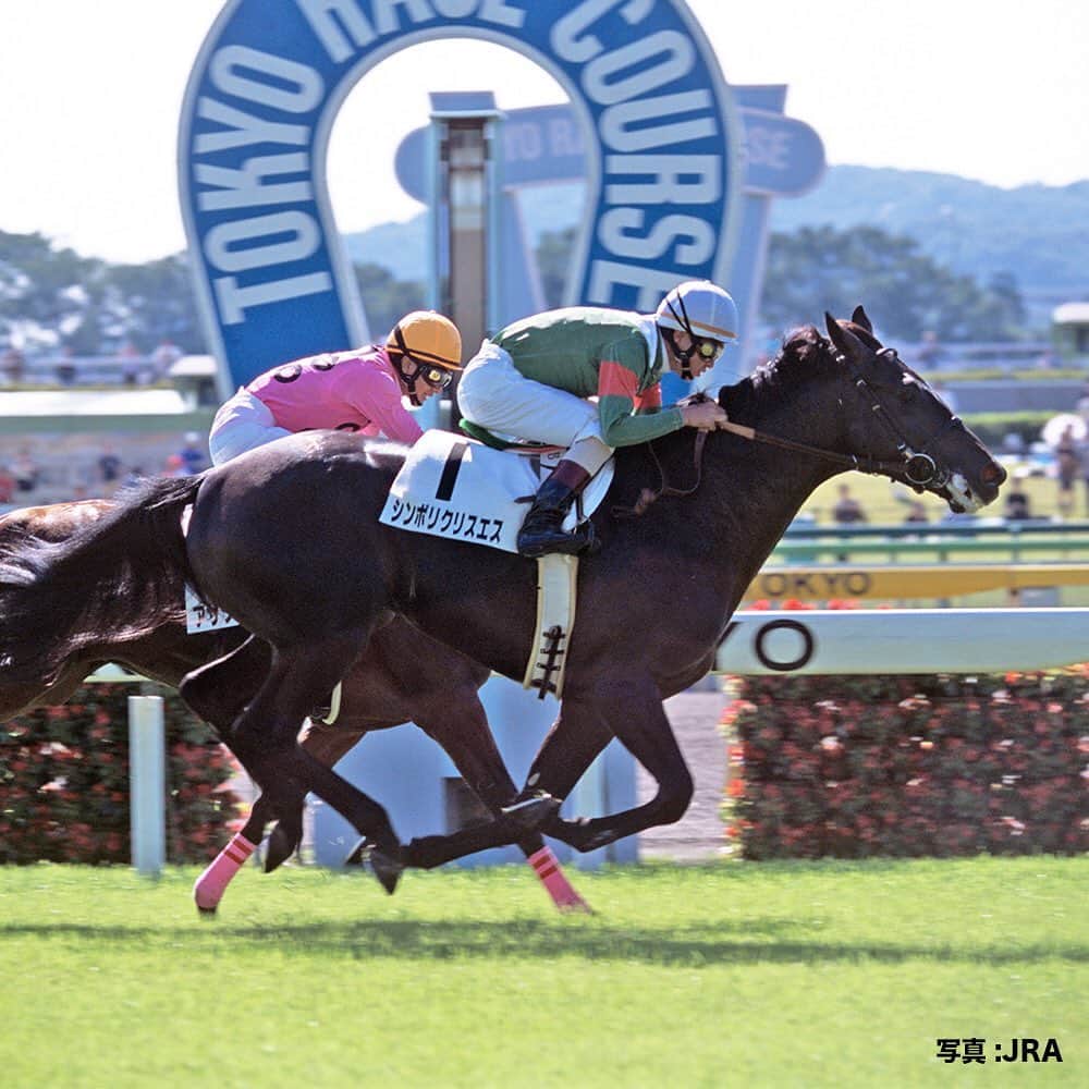 のインスタグラム：「メイクデビュー列伝。  #2001年10月第二週目には #天皇賞秋 と #有馬記念 を #連覇した #シンボリクリスエス が #デビュー #黒い馬体がカッコよく #まさに #漆黒の帝王 だったね #うまび」