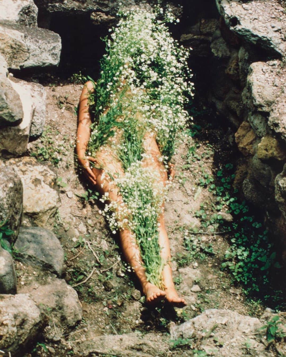 トームさんのインスタグラム写真 - (トームInstagram)「Imagen de Yagul 1973 #AnaMendieta . Mexico  .  Mendieta, who was born in Havana, Cuba in 1948, moved to the U.S. at 12 years old to escape Castro’s regime. There she hopped between refugee camps and foster homes, planting inside her an obsession with ideas of loss, belonging and the impermanence of place. As an artist in the 1970s, Mendieta embarked upon her iconic series “Silhouettes,” in which she merged body and earthly material, making nature both canvas and medium. In her initial “Silhouette,” Mendieta lay shrouded in an ancient Zapotec grave, letting natural forms eat up her diminutive form.  Her “earth-body” sculptures, as they came to be known, feature blood, feathers, flowers and dirt smothered and stuck on Mendieta’s flesh in various combinations. In “Imagen de Yagul,” speckled feverishly in tiny white flowers, she appears as ethereal and disembodied as Ophelia, while in “Untitled Blood and Feathers” Mendieta looks simultaneously the helpless victim and the guilty culprit. “She always had a direction – that feeling that everything is connected,” Ana’s sister Raquelin said of her work.  An uncertain mythology runs throughout Mendieta’s oeuvre, a feeling at once primal, pagan and feminine. Admirers have cited the Afro-Cuban religion of Santeria as an influence, as well as the ancient rituals of Mexico, where Mendieta made much of her work. Yet many of Mendieta’s pieces removed themselves from the spiritual realm to address present day events, for example “Rape Scene,” a 1973 performance based off the rape and murder of a close friend. For the piece Mendieta remained tied to a table for two hours, motionless, her naked body smeared with cow’s blood. In another work, Mendieta smushes her face and body against glass panes, like a child eager to peek into an off-limits locale, or a bug that’s crashed into a windshield. Against the glass, her scrambled facial features almost resemble a Cubist artwork.  Mendieta died tragically young in 1985, falling from her New York City apartment window onto a delicatessen below. She was living with her husband of eight months, minimalist sculptor Carl Andre at the time. Andre was convicted of murder...」10月8日 15時30分 - tomenyc