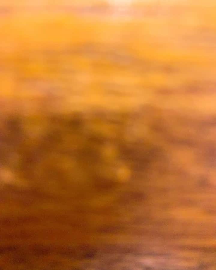 樫原伸彦のグルメインスタ