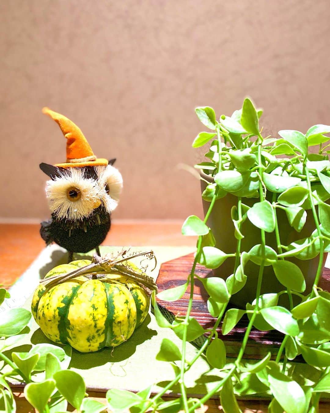 祥吉のグルメインスタ