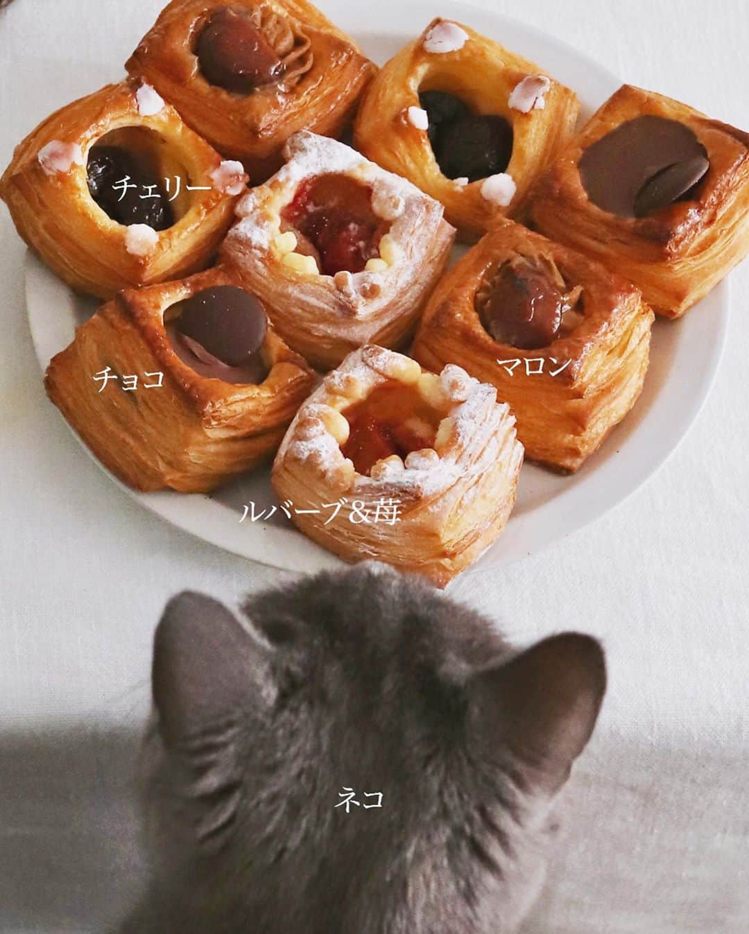 樋口正樹さんのインスタグラム写真 - (樋口正樹Instagram)「Danish Pastry . 今日のおやつヒュッゲは 甘くちいさなデニッシュ、 淹れたてのコーヒー＆猫。 . アンデルセンのちいさな TAKデニッシュは４種で チェリー、ルバーブ＆苺、 チョコ、マロンがあって、 わたしはチェリーが好き、 秋なのでマロンも好きで、 結局全部を食べてしまう。 . ちなみに、 デニッシュ生地は３２層、 ４個を重ねると１２８層。 . ちなみに、 開催中のアンデルセンの デンマーク・フェアより デニッシュペストリーが リニューアルしてますよ。 @andersen_official_jp . さらにちなみに、 "TAK"は "タック"と読み、 デンマーク語で、意味は "ありがとう"なのですー。 人気のTAKデニッシュは 創業７０周年を記念して 感謝の気持ちを込め開発。 ちょっとした差し入れに 嬉しいデニッシュですね。 . . #ありがとう #アンデルセン #パン #TAKデニッシュ #デニッシュ #デニッシュペストリー #ベーカリー #アンデルセンのパン #ヒュッゲ #デンマーク #デンマークフェア #パンのある暮らし #パンのある生活 #パンスタグラム #パン大好き #andersen #bread #bakery #hygge #copenhagen #bageri #denmark #🇩🇰 #Danishpastry」10月8日 16時06分 - higuccini