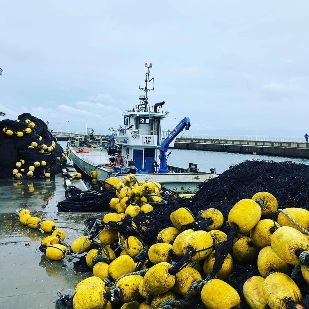 魚金さんのインスタグラム写真 - (魚金Instagram)「10月8日台風14号が近づいている影響で江ノ島は定置網を上げたそうです。大きい仕掛けだけあって物々しいですね〜 江ノ島と言えばシラスイメージですがカマスや鯵もオススメみたいですので買い付けてみたいですね〜 漁港近くの定食屋さんでシイラのフライ…ふぁふぁで美味しい！ 鯵、イナダ、だつのお刺身も頂きました どれも小ぶりなサイズのお魚でしたので脂はのってませんでしたがスッキリとしていて歩いて30秒の漁港から仕入れただけあって鮮度半端無い！ 横浜エリアの3店舗からでも江ノ島地魚を提供出来る様に考えてます  週末は関東も荒れ模様の天気ですが頑張って美味しい魚を仕入れていきます！  仕入部　片之坂 #まぐろ#新橋#玉子#居酒屋#銀座#京橋#マグロ#海鮮丼#刺身#吉祥寺#オイスター#池袋#ビール#江ノ島#刺身盛り合わせ#宝石#渋谷#魚好きと繋がりたい #レモンサワー#カニ#神楽坂#横浜グルメ#飲酒タグラム#野菜たっぷり#日本酒好きな人と繋がりたい #クラフトビール#お寿司#おでん#yummy」10月8日 16時20分 - uokin_koho