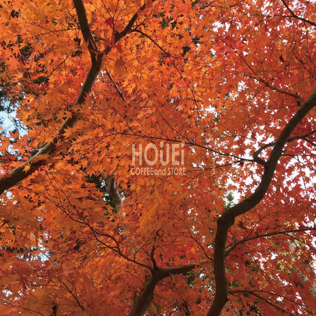 houeicoffeeのグルメインスタ