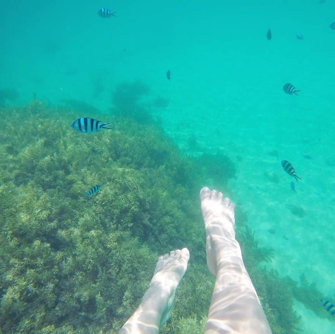 t_ppyのインスタグラム：「海の中はこんな感じ。 ちょっと潜るとすぐ魚が🐠 波もないし人も少なくて最高！  子供のシュノーケルにも◎  #伊計島 #大泊ビーチ  #沖縄旅行」
