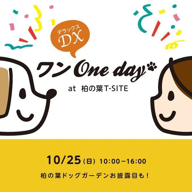 CheriWANさんのインスタグラム写真 - (CheriWANInstagram)「【イベント情報】 ワンOnedayDXにCheriWANが出店が決定いたしました✨ イベントだけの特別価格もご用意予定となっております！！  詳細はこちら↓ ---------------------------------------------  【10/25(日)ワンOnedayDX開催！】﻿ 今月、10/25(日)にワンOnedayDXを開催いたします。   今回は35を超えるお店に出店いただく拡大版で実施！ 昨年、大好評だったドッグトレーナー堀江さんによるディスクドッグショーや、今月にOPENする柏の葉ドッグガーデンお披露目会もございます。   もちろん、ワンOneday恒例のオテマテ選手権も実施しますよ！﻿ 他イベントの詳細情報は柏の葉T-SITEHPにて更新いたします。 ﻿ 当イベントはドッグオーナー様とワンちゃんが安心して楽しんでいただけるように、新型コロナウイルス感染予防対策を十分に講じたうえで実施いたします。﻿  【会場内での感染予防対策】﻿ ①    会場内消毒液の設置﻿ ②    机、座席の定期的な消毒﻿ ③    出店者およびスタッフ同士の間隔の十分な確保﻿ ④    金銭受け渡し時のトレー使用﻿  ﻿ 【出店者及びイベントスタッフの感染予防対策】﻿ ①    イベント前の検温・確認﻿ ②    体調不良時、体温37.5℃以上時のイベント参加の停止﻿ ③    手指の定期的な消毒の徹底﻿ ④    マスク着用の徹底及び咳エチケットの励行﻿  ﻿ 【お客様へのお願い】﻿ ①　 入場時に氏名と連絡先の記入にご協力お願いする場合がございます。﻿ ②    体調の優れない方はご参加をお控えください。﻿ ③    ご参加時のマスク着用及び咳エチケットの励行にご協力をお願いいたします。﻿ ④    手指の消毒にご協力をお願いいたします。﻿ ⑤　 お並びいただく際は、お並び線に沿って並んでいただくようお願いいたします。﻿ ⑥　 新型コロナウイルス接触確認アプリ（COCOA)のインストールにご協力お願いいたします。﻿ ※本イベントは千葉県新型コロナウイルス感染症予防対策本部に事前相談済みです。﻿ ﻿ #CheriWAN #シェリーワン #犬 #ふわもこ部 #愛犬 #わんこ#ペット #いぬすたぐらむ #ワンコ#無添加 #無着色 #無香料 #米粉パンケーキミックス #グルテンフリー #米粉 #ドッグフード #いぬ#いぬのおやつ #ワンちゃん用 #ワンワンデー #ワンワンデー柏の葉 #ドッグフレンドリー #柏の葉tsite #tsite #ドッグイベント #柴犬ライフ #柏の葉ドッグガーデン」10月8日 16時43分 - cheriwan_official