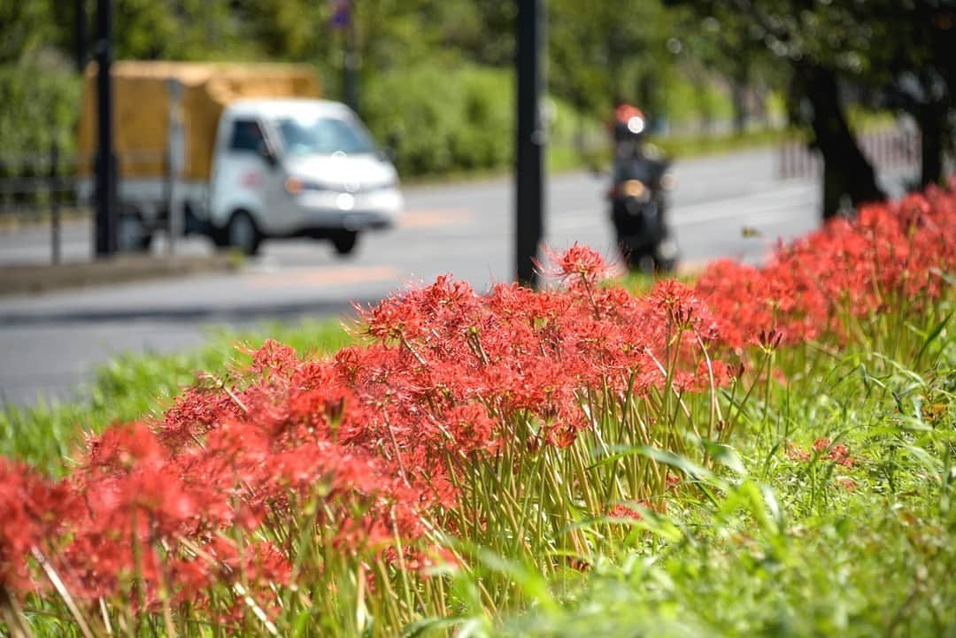 東京都庁広報課さんのインスタグラム写真 - (東京都庁広報課Instagram)「「二子玉川 Futakotamagawa(2020.9.28撮影)」最寄り駅：二子玉川駅  #多摩川  #二子玉川カフェ　#散策　#東急田園都市線　#世田谷区　#東急大井町線 #tokyotokyo #tokyogram #moodygrams #jp_gallery #ptk_japan #gdayjapan #realtokyo #beautifuldestinations #tokyojapan #instatokyo #loves_nippon #phos_japan #bestjapanpics #cooljapan #japan_of_insta #photo_jpn #illgrammers　 #景色 #東京 #Tokyo #东京 #도쿄 #tokyogood」10月8日 17時00分 - tocho_koho_official