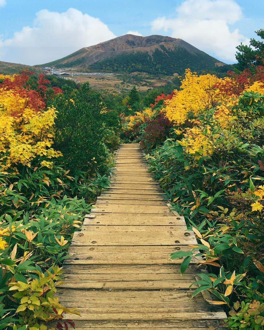 Rediscover Fukushimaさんのインスタグラム写真 - (Rediscover FukushimaInstagram)「POV: Crisp air fills your lungs, ahead of you Mt. Kofuji rises before me like a flying saucer.. framed by the beginnings of Autumn. ✨👽✨  After long periods of staying indoors, it’s a nice break to do some social distancing on the trails of Jododaira instead of at home watching netflix. 🥰  🍁Have you managed to get some fresh air lately? If not, let me know, what shows are you watching? 🐯  ⁉️Would you hike this trail?✨  For more information on hiking trails at Jododaira hit the link below⬇️  https://fukushima.travel/destination/jododaira-visitor-center/201  #mtkofuji #東京カメラ部 #hiking #fukushima #visitfukushima! #traveljapan #destinationjapan #2020 #autumn #autumnvibes #jododaira #jododairavisitorcenter #jododairawetland #stairwaytoheaven #fall #fallcolors #autumnleaves #photooftheday」10月8日 17時01分 - rediscoverfukushima