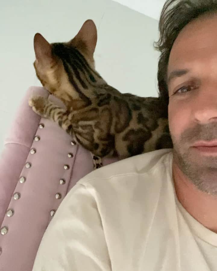 のインスタグラム：「Give me a kiss... 😘 #lovecats #adp10」