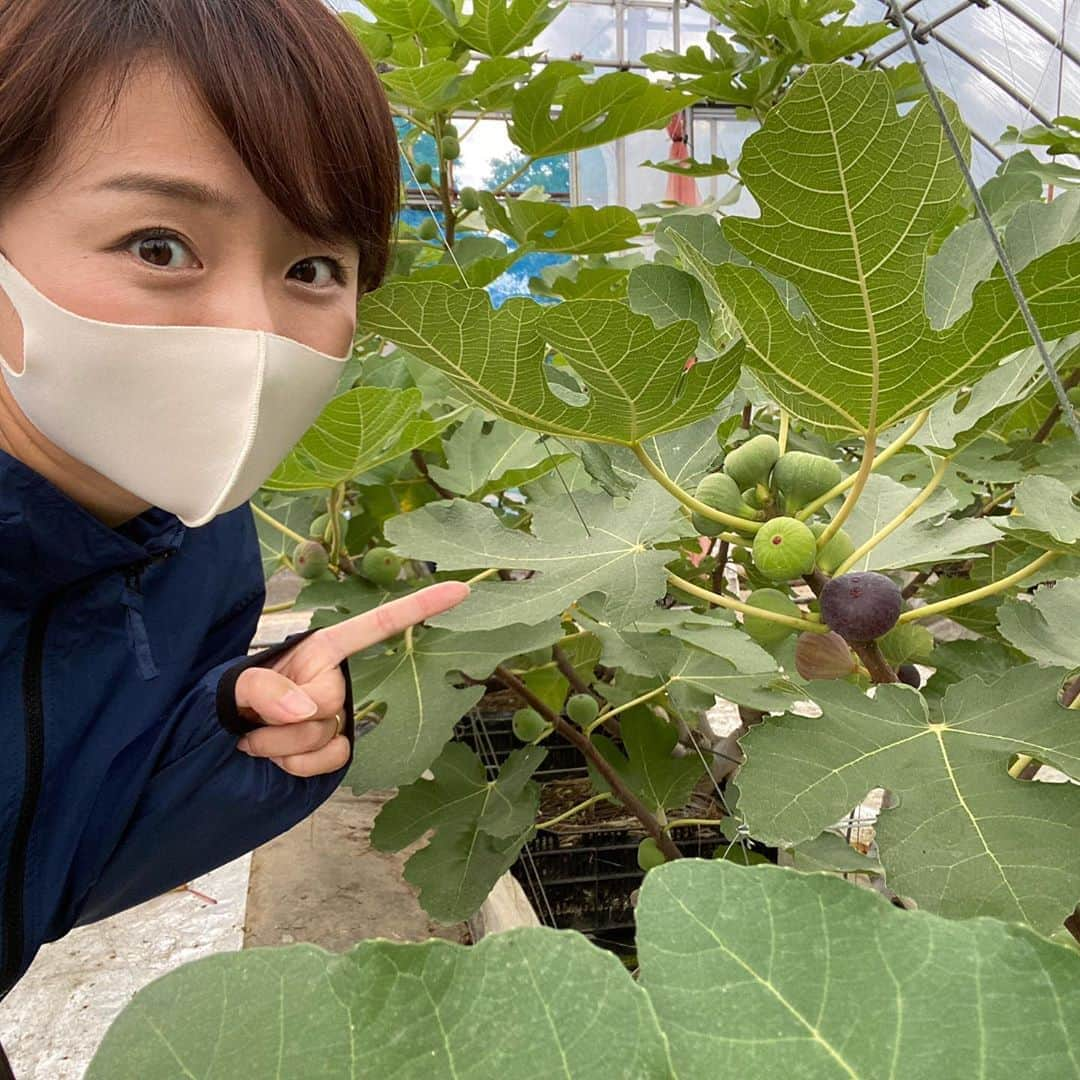 今井美穂のインスタグラム