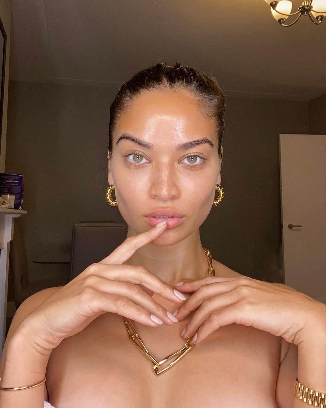 シャニーナ・シャイクのインスタグラム：「Are you gold or silver ?」