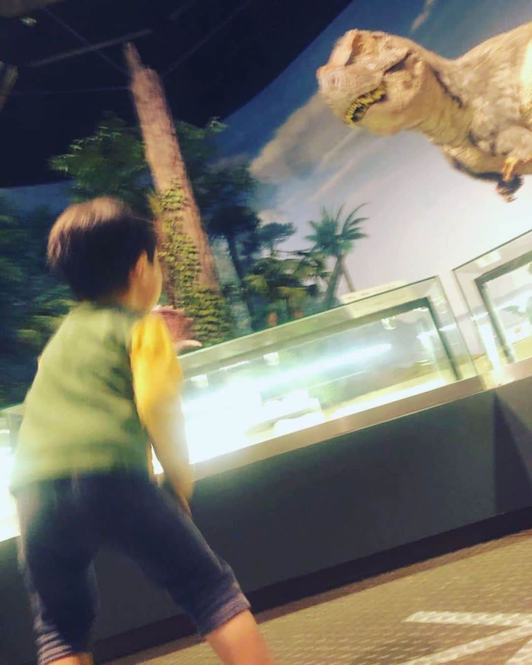 やおたくやさんのインスタグラム写真 - (やおたくやInstagram)「恐竜好きな息子🦖  個人的には3枚目の会敵感ある感じが好き。  #3歳#息子#育児日記」10月8日 19時50分 - yaotakuya