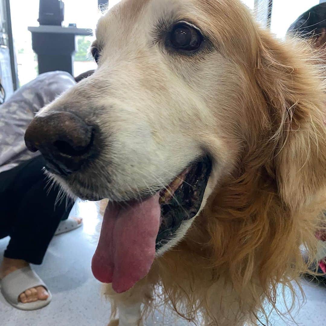 のインスタグラム：「Smile 😊  วันนี้ยิ้มได้ ดูมีแรงขึ้นแล้วนะค้าบ ขอบคุณทุกกำลังใจ ❤️」