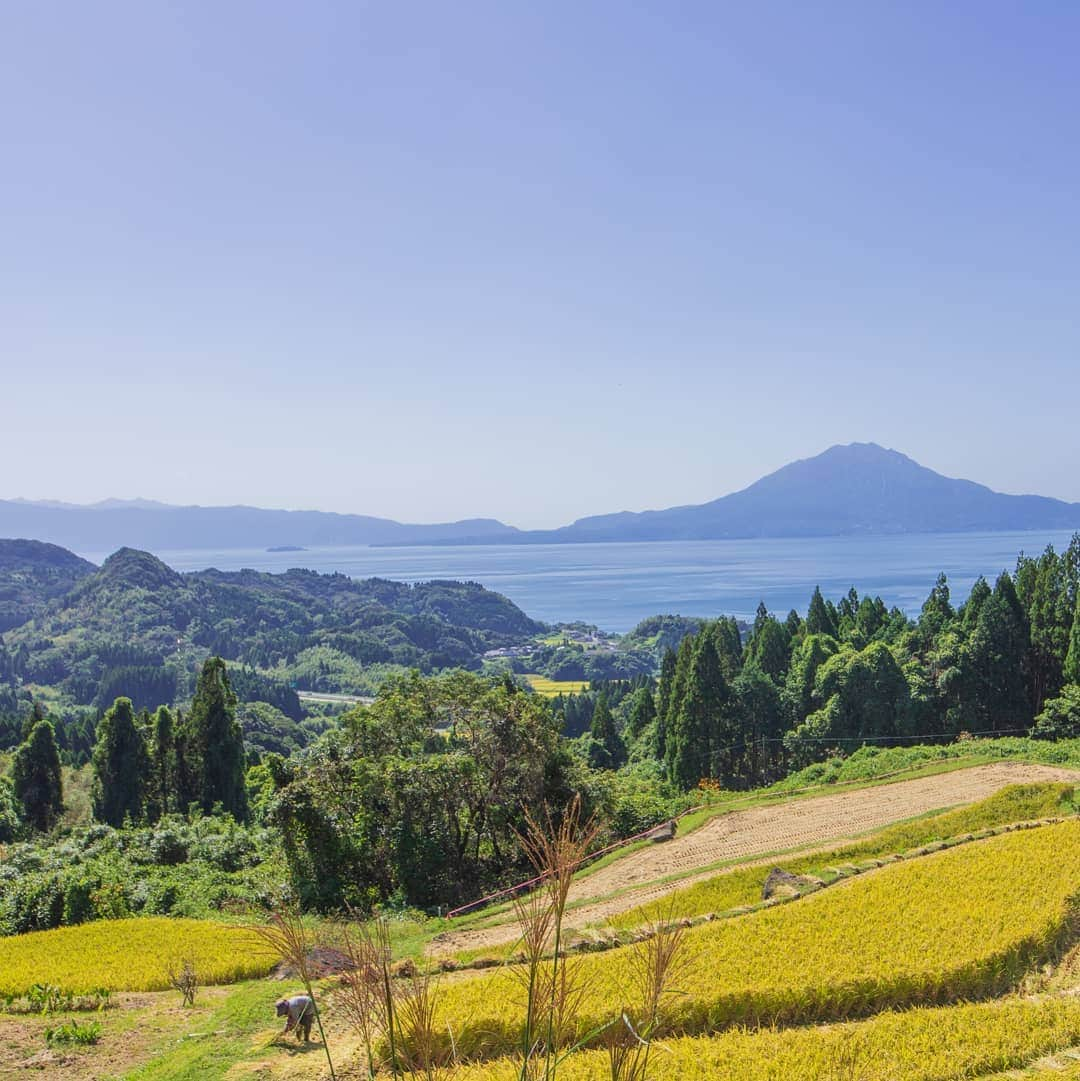 鹿児島よかもん再発見さんのインスタグラム写真 - (鹿児島よかもん再発見Instagram)「霧島市隼人町の小牧の棚田秋の収穫(^-^)/  夏も訪ねた小牧の棚田。秋の収穫を迎えておりました(*´∀｀)  #鹿児島 #鹿児島観光 #鹿児島の棚田 #棚田 #西郷どん #霧島市 #霧島市観光 #鹿児島の風景 #鹿児島の自然 #小牧の棚田 #kagoshima #kagoshimaphotograph」10月8日 20時49分 - kagoshimayokamon