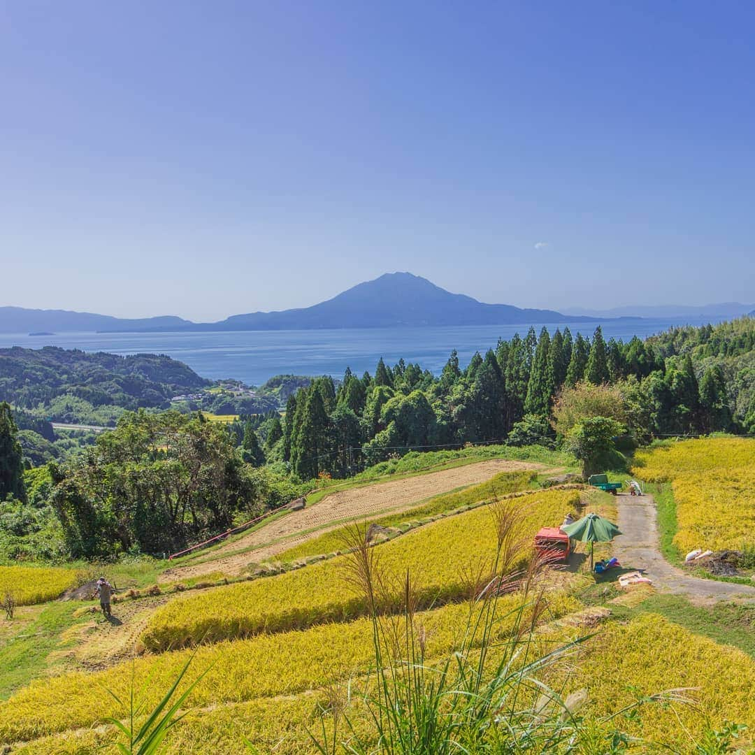 鹿児島よかもん再発見さんのインスタグラム写真 - (鹿児島よかもん再発見Instagram)「霧島市隼人町の小牧の棚田秋の収穫(^-^)/  夏も訪ねた小牧の棚田。秋の収穫を迎えておりました(*´∀｀)  #鹿児島 #鹿児島観光 #鹿児島の棚田 #棚田 #西郷どん #霧島市 #霧島市観光 #鹿児島の風景 #鹿児島の自然 #小牧の棚田 #kagoshima #kagoshimaphotograph」10月8日 20時49分 - kagoshimayokamon